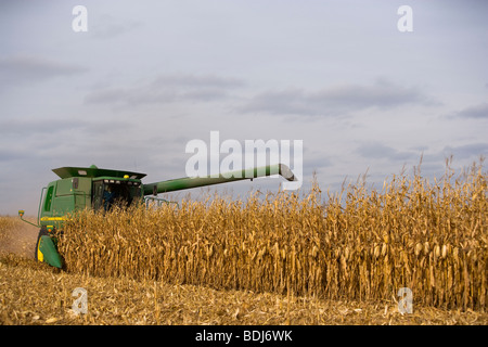 Agriculture - A John Deere combine harvests grain corn in Autumn / near Northland, Minnesota, USA. Stock Photo