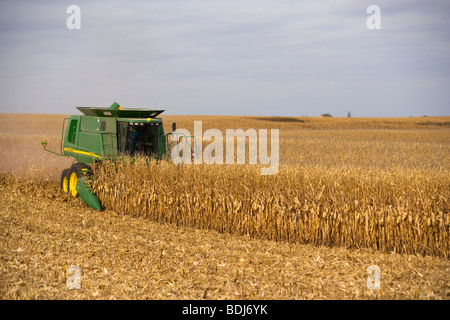 Agriculture - A John Deere combine harvests grain corn in Autumn / near Northland, Minnesota, USA. Stock Photo