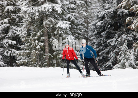 Couple Cross Country Skiing, Whistler, British Columbia, Canada Stock Photo