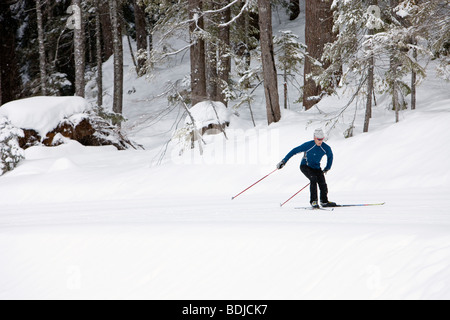 Man Cross Country Skiing, Whistler, British Columbia, Canada Stock Photo