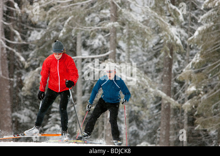 Couple Cross Country Skiing, Whistler, British Columbia, Canada Stock Photo