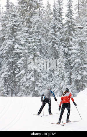 Backview of Couple Cross Country Skiing, Whistler, British Columbia, Canada Stock Photo