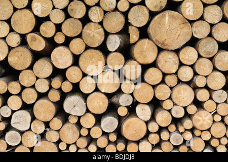 Close-up of Stacked Firewood Logs Stock Photo