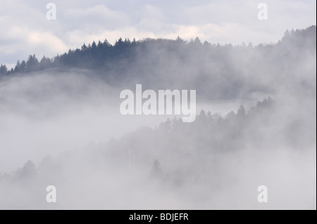 Hill with Forest Standing out of Fog, Black Forest, Baden-Wurttemberg, Germany Stock Photo