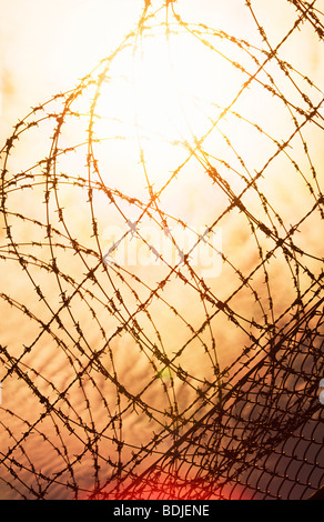 Barbed Wire Fence, Sunset Stock Photo