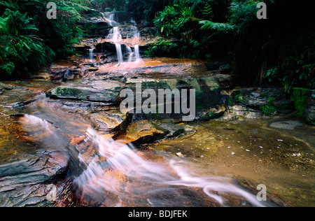 Waterfall, Leura Cascades, Blue Mountains, Australia Stock Photo