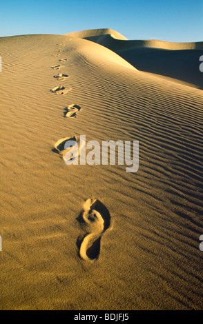 Footsteps on Sand Dune, Desert Stock Photo