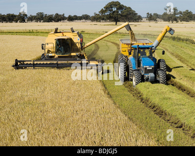 Rice Harvesting, Australia Stock Photo