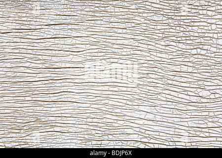 Cracked Paint on Wooden Door Stock Photo