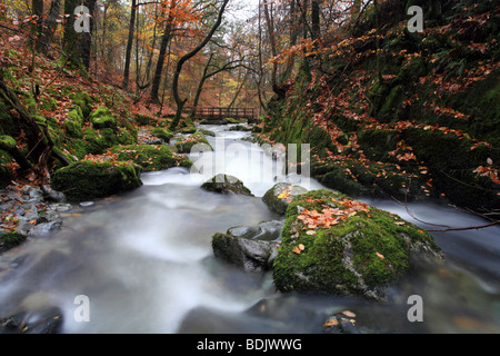 'Stockghyll Force' waterfall above Ambleside, Lake District National Park, Cumbria in Autumn. Stock Photo