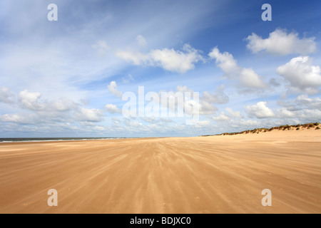 'Holkham beach' Norfolk, sand blue sky summer fluffy white clouds. Stock Photo