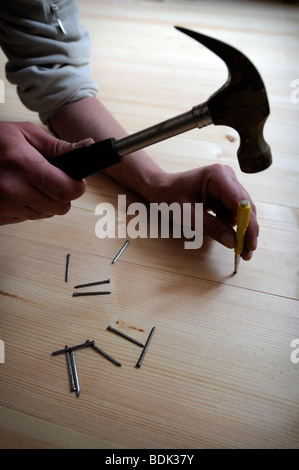 USING A PUNCH TO DRIVE HOME NAILS WITHOUT MARKING WOODEN FLOORING PLANKS Stock Photo
