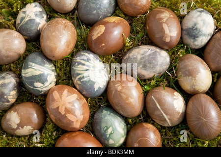 Colorful easter eggs in grass Stock Photo