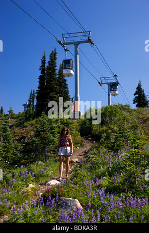 Hiking on the Paleface Trail under the Whistler Village Gondola, Whistler Mountain, Whistler, British Columbia, Canada. Stock Photo