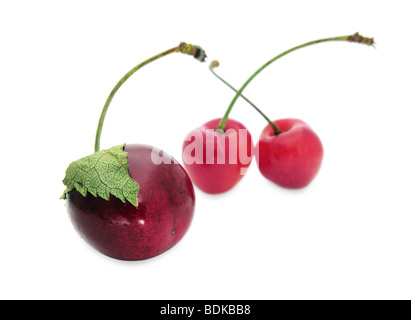 Three cherries Stock Photo