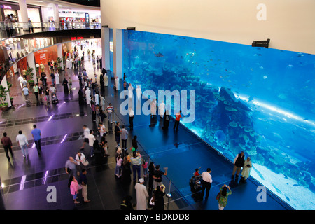 Dubai Aquarium and underwater Zoo, part of Dubai Mall in Downtown Dubai, new part of the city, Dubai, United Arab Emirates. Stock Photo