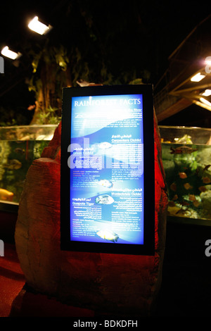 Dubai Aquarium and underwater Zoo, part of Dubai Mall in Downtown Dubai, new part of the city, Dubai, United Arab Emirates. Stock Photo