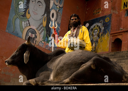 A Sadhu holds a trident and stands on steps (ghats) in the Indian city of Varanasi (Benares). A cow sits next to him. Stock Photo