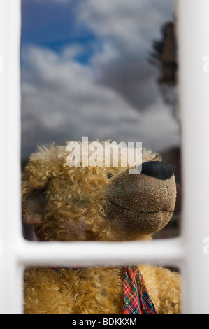 Teddy bear shop window. Little paws shop, Ludlow, Shropshire, England Stock Photo
