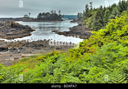 Wild Pacific Trail, Vancouver Island, British Columbia, Canada Stock Photo