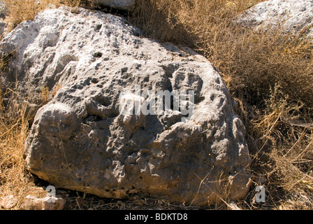 sculpture on stone at Cana village south Lebanon Stock Photo