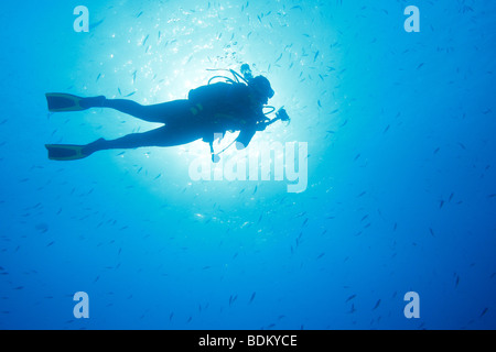 Young woman diver photographer descending into the blue waters of the Red Sea with the sun rays and fishes in background Stock Photo