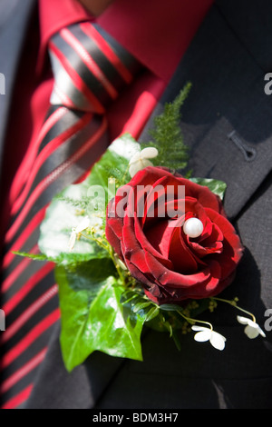 Red rose as buttonhole Stock Photo