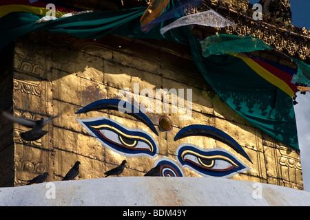 Pigeons resting in front of the holy eyes of the stupa at Swayambhunath, commonly known as the Monkey Temple Stock Photo