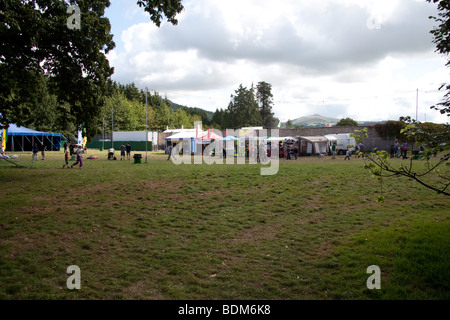 Greenman festival 2009, Glanusk Park, Brecon, Wales Stock Photo