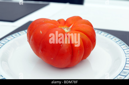 Big Tom tomato variety on a dinner plate Stock Photo