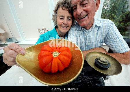 Couple who have grown a Big Tom variety of tomato weigh it on scales at 11 ounces Stock Photo