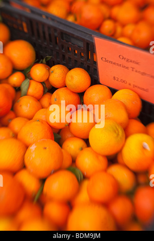 organic Clementine tangerines, Farmer's Market, Santa Barbara, California, United States of America Stock Photo