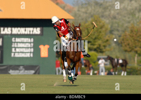 Polo player in action just after striking ball  during match at Santa Maria polo club, Sotogrande, Costa del Sol Stock Photo
