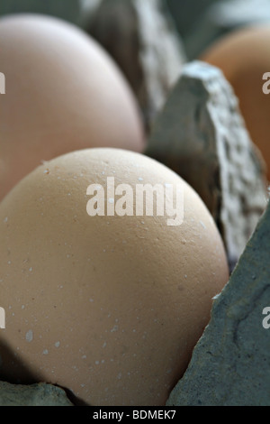 Organic brown eggs in carton, closeup. Stock Photo