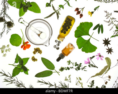 Medicinal plants and pills Stock Photo