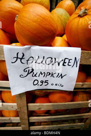 Halloween pumpkins on a market stall Stock Photo