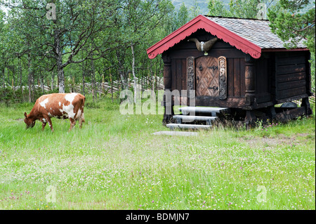 A storage hut (hytte) on a summer farm high in the mountains above Lillehammer, Norway. It is raised on stones to keep it free from vermin Stock Photo