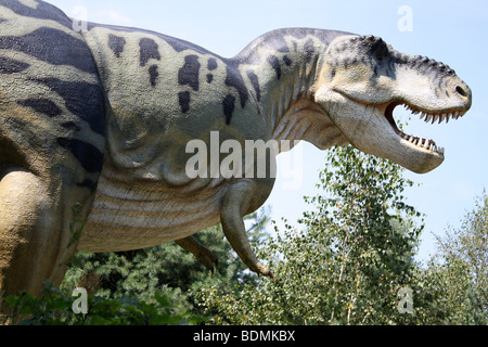 Tyrannosaurus Rex, real size replica, 2009 Stock Photo