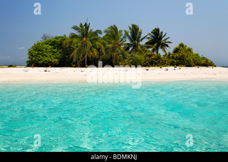 Unpeopled island, Maldives island, lagoon, palm trees, beach, turquoise water, South Male Atoll, Maldives, archipelago, Indian  Stock Photo