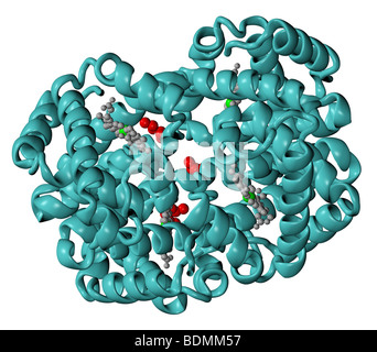 Three-dimensional, computer-generated molecular model of hemoglobin A1c Stock Photo