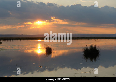 Sunset on Lake Neusiedlersee, Illmitz, Burgenland, Austria, Europe Stock Photo