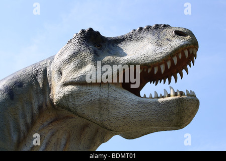 Tyrannosaurus Rex, Prehistoric Park, Nowiny Wielkie, Poland, real size replica, 2009 Stock Photo