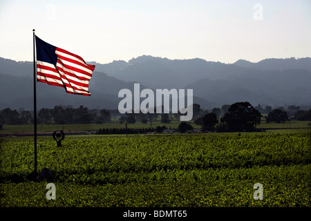 American flag in the vineyards of Napa Valley, California, USA, North America Stock Photo