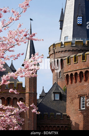 Moyland, Schloßpark im Frühling, Blühende Kirschbäume, Kirschblüte Stock Photo