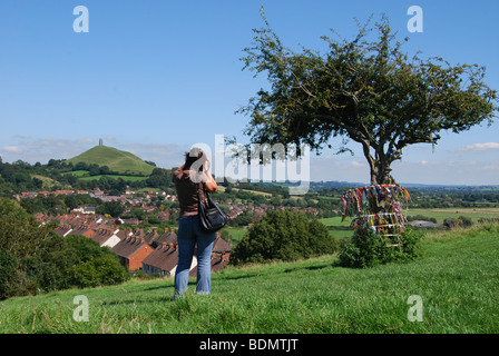 Holy Thorn Tree on Wearyall Hill with Glastonbury Tor in the distance. Somerset. England United Kingdom Stock Photo