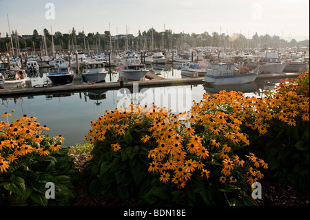 Squalicum Harbor and marina is located on the northern shores of Bellingham Bay in the city of Bellingham, Washington, USA. Stock Photo