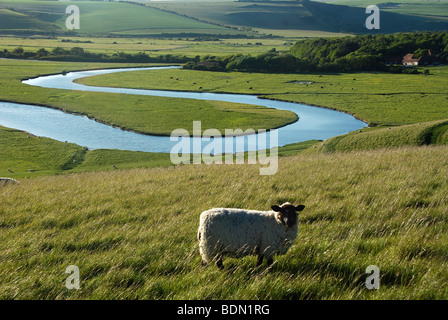 Seven Sisters Country Park, Cuckmere Haven, Sussex, England, UK Stock Photo