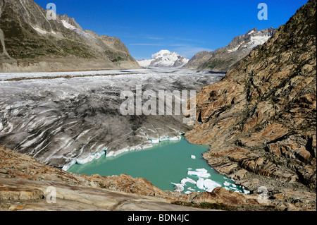 Great Aletschgletscher glacier with glacial lake in the foreground, Goms, Valais, Switzerland, Europe Stock Photo