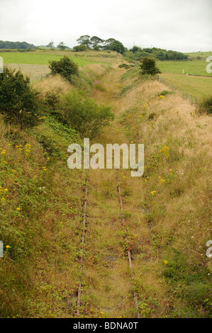 Abandoned and overgrown disused railway line tracks near Amlwch Anglesey north Wales UK Stock Photo