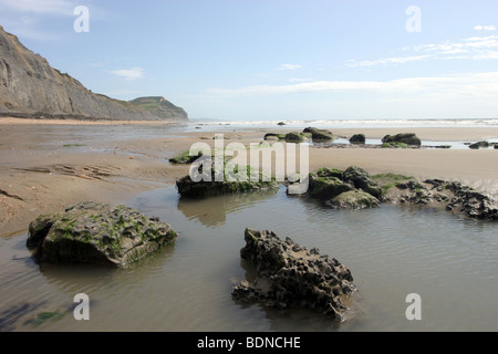 Rock pools at Charmouth beach, Dorset, England Stock Photo